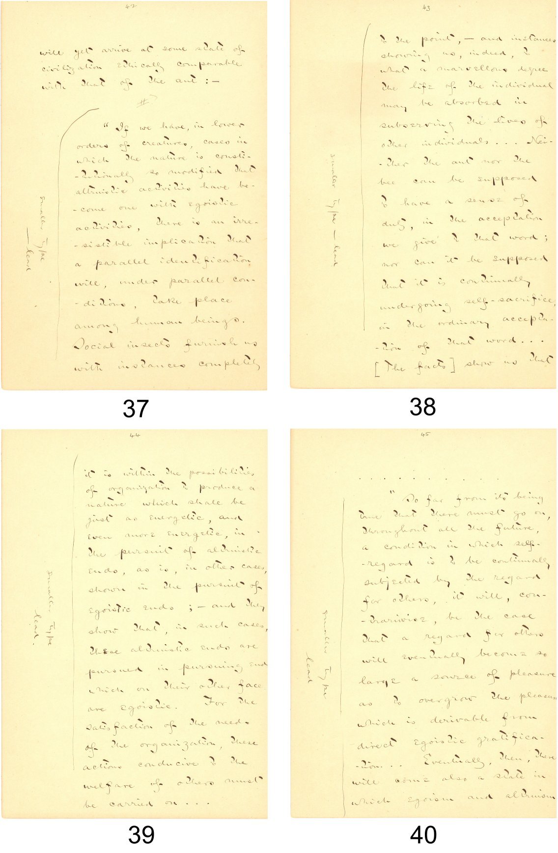 小泉八雲 草稿と書翰 全5冊 英文 洋書 書簡 古書 小泉八雲 草稿と書翰 全5冊 英文 洋書 書簡 古書 小泉八雲